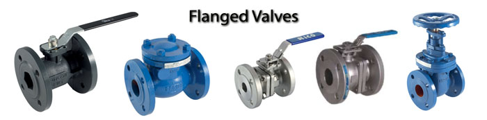 Flanged Ball Valves (PN and ANSI)